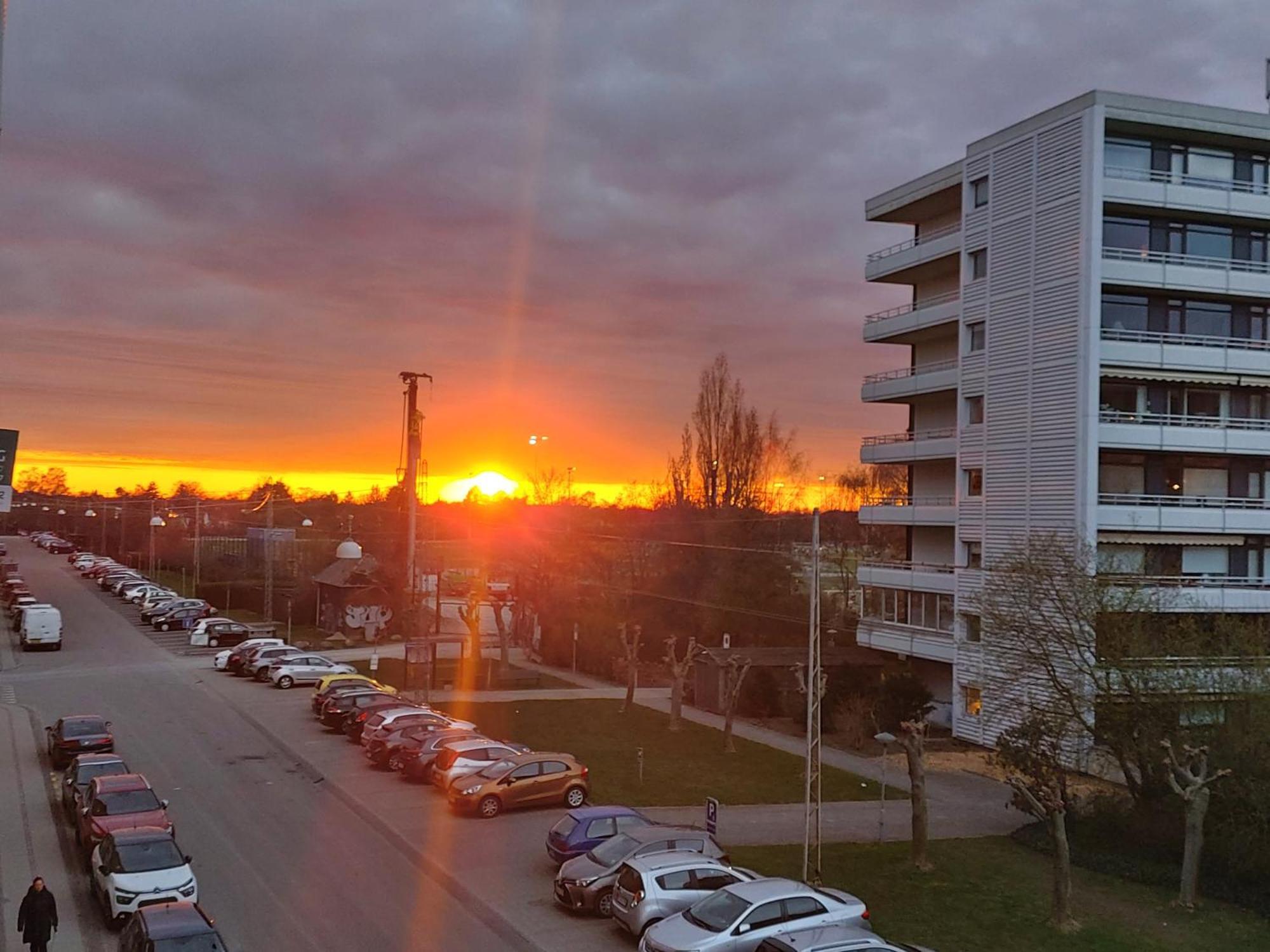 Homestay With Bo Kopenhag Dış mekan fotoğraf